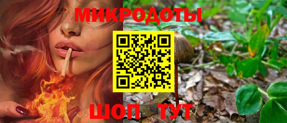 Галлюциногенные грибы мухоморы Карталы