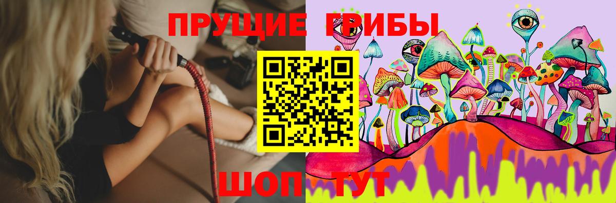 Псилоцибиновые грибы Magic Shrooms  Вход с VPN  Карталы 